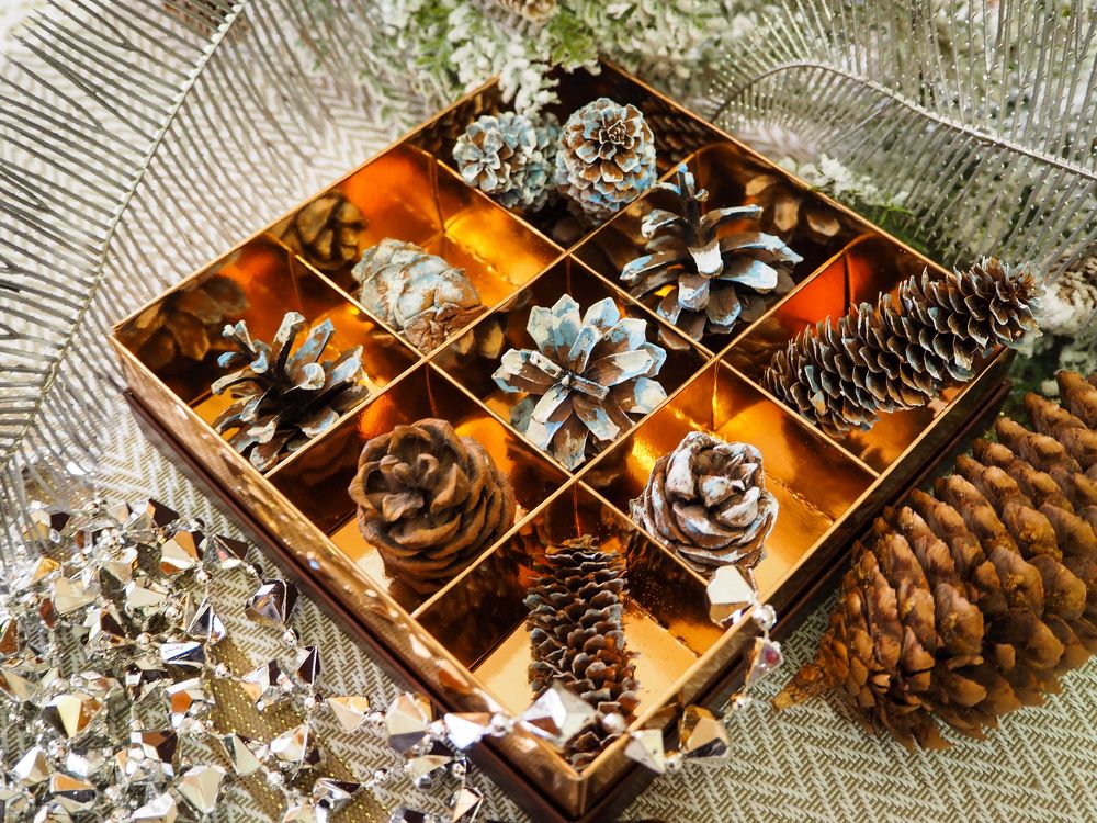 Фотография автора Olena Vorotyntseva