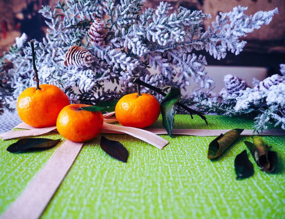 Photograph by Olena Vorotyntseva