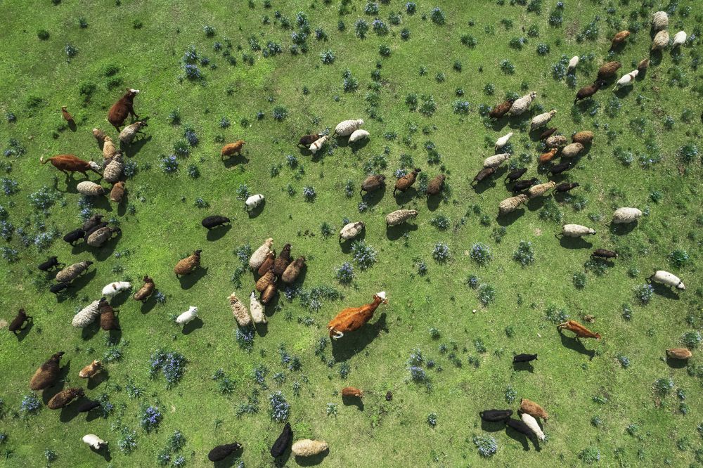 Photograph by Емельянов Саша