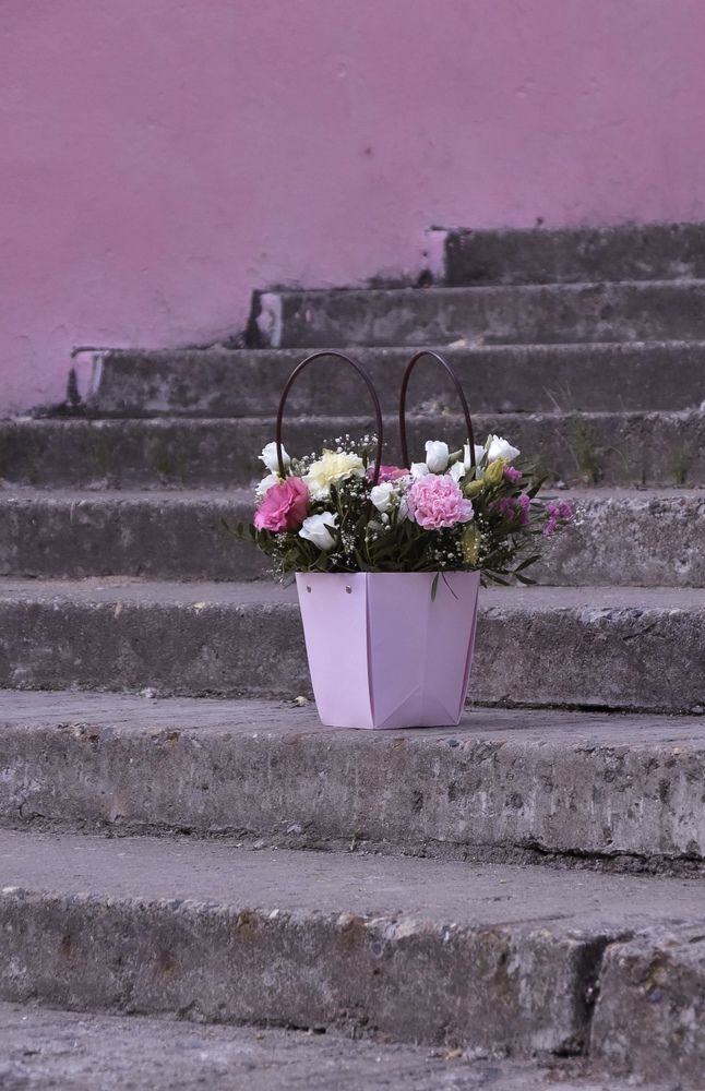 Photograph by Elvira