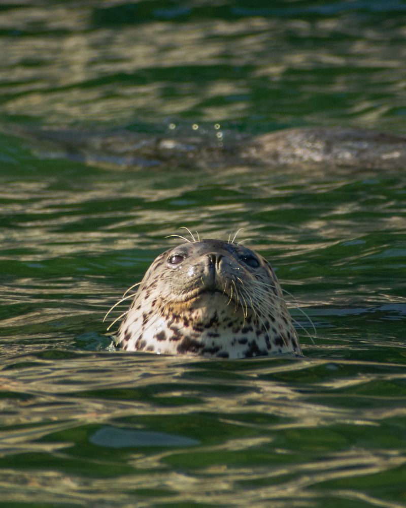 Photograph by Михаил Бирюков