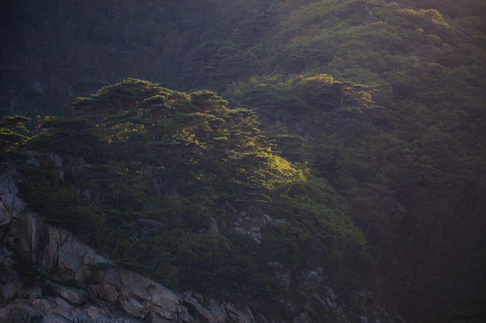 Photograph by Михаил Бирюков