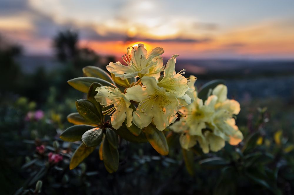 Photograph by Зарышнюк Роман