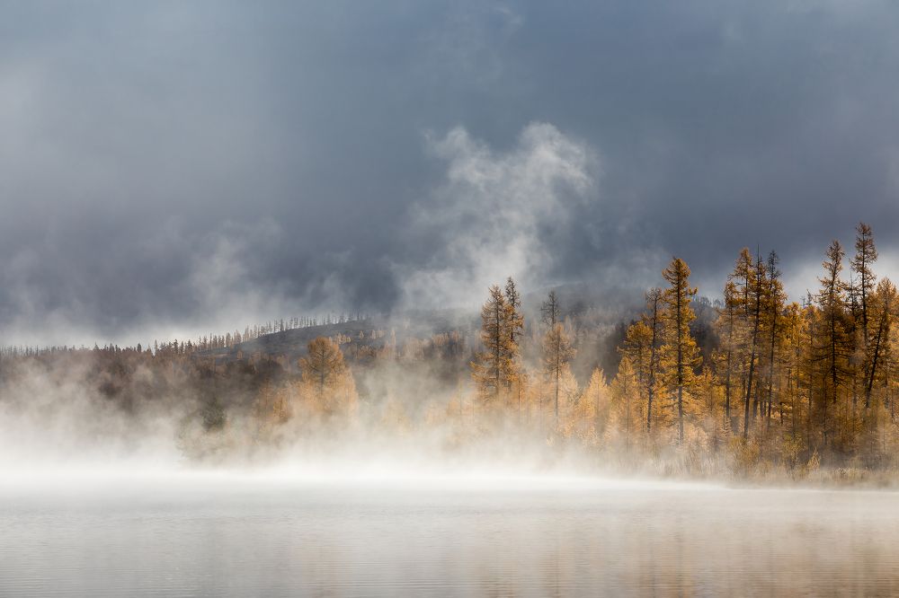 Photograph by Зарышнюк Роман