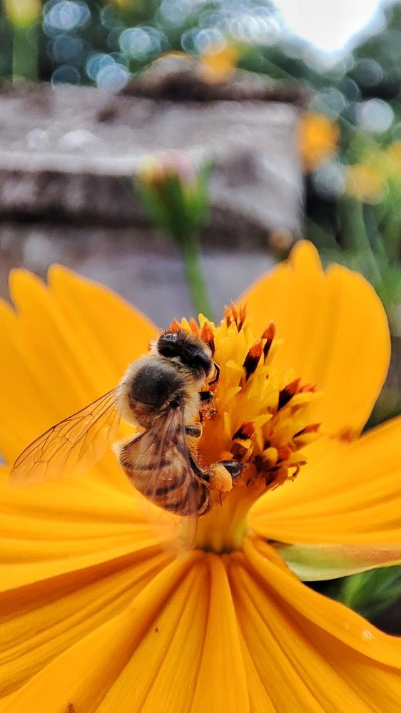 Photograph by nileydi Colmenarez