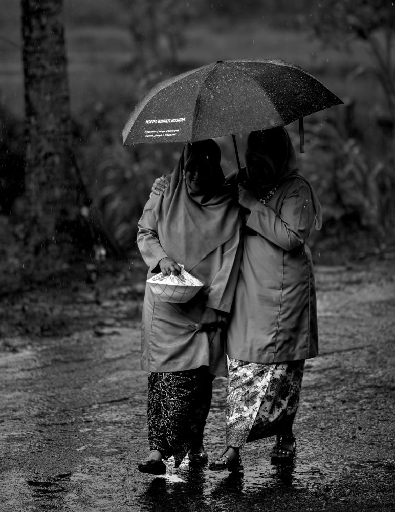 Companionship in the Rain