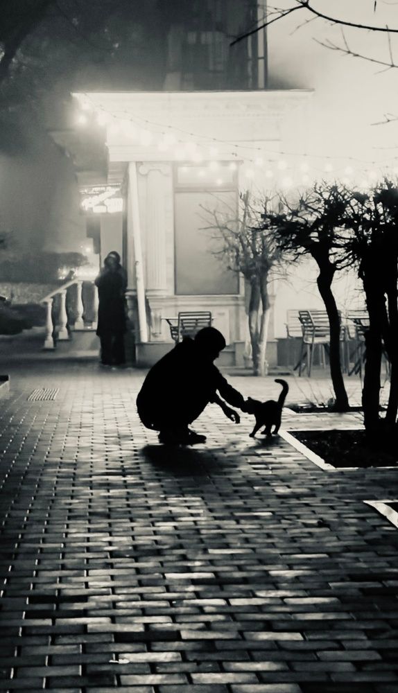 Photograph by Александр Шаварёв