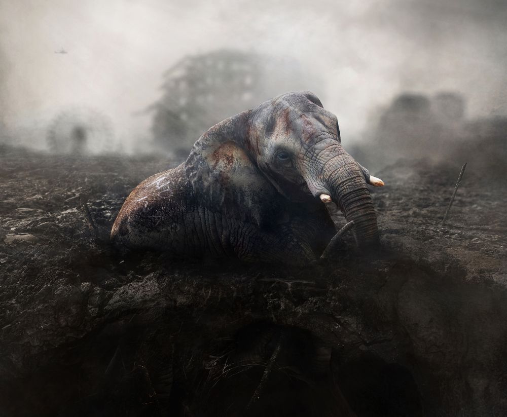 Photograph by KAWAKAMI KAZUTOSHI