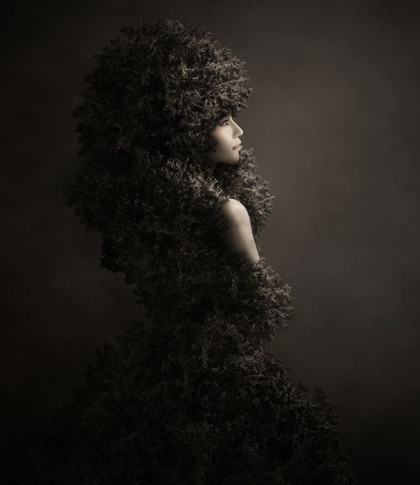 Photograph by KAWAKAMI KAZUTOSHI