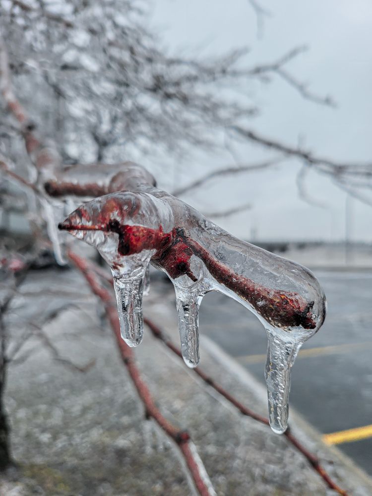 Photograph by Ketsia Samano