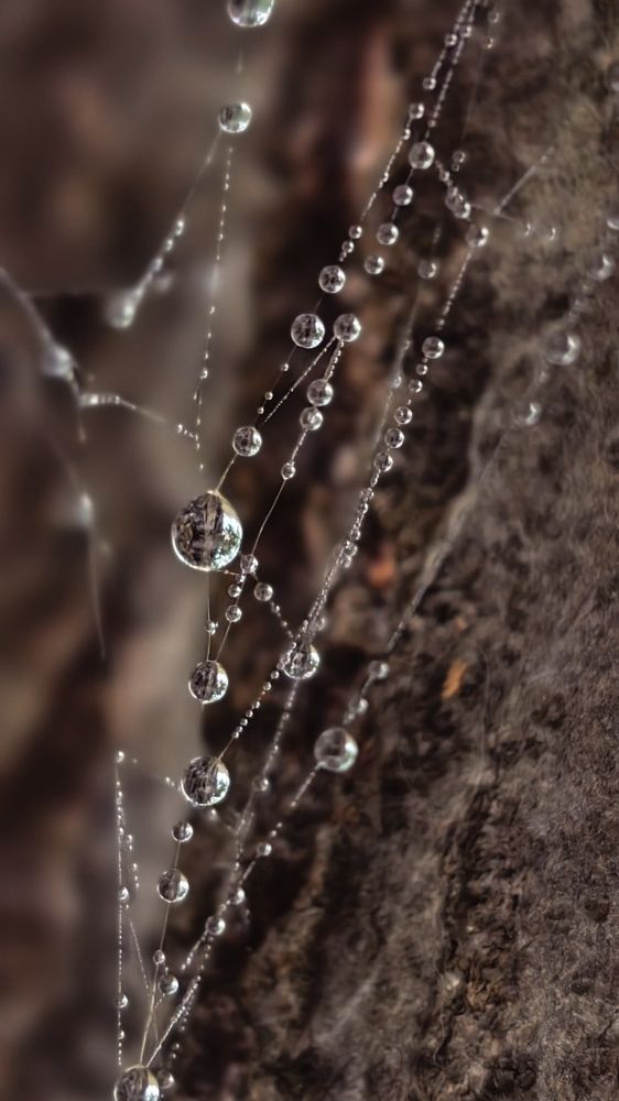 Photograph by Анна Демина