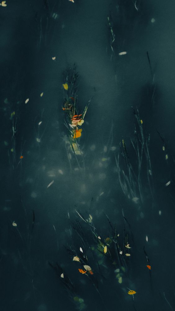 Photograph by Вячеслав Сидоров