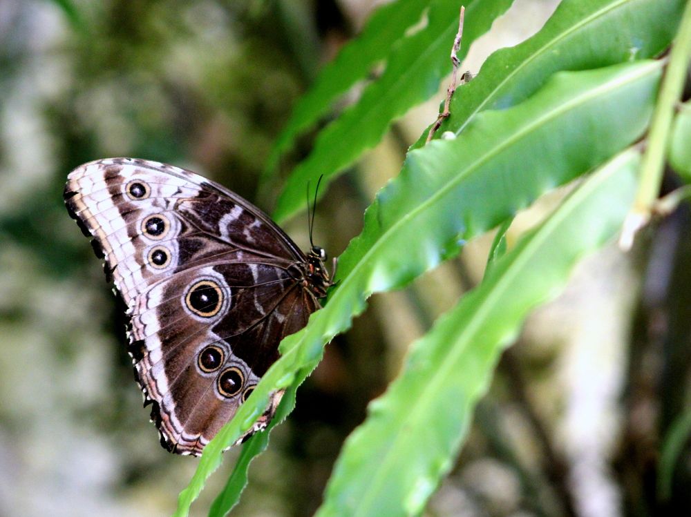 Photograph by 