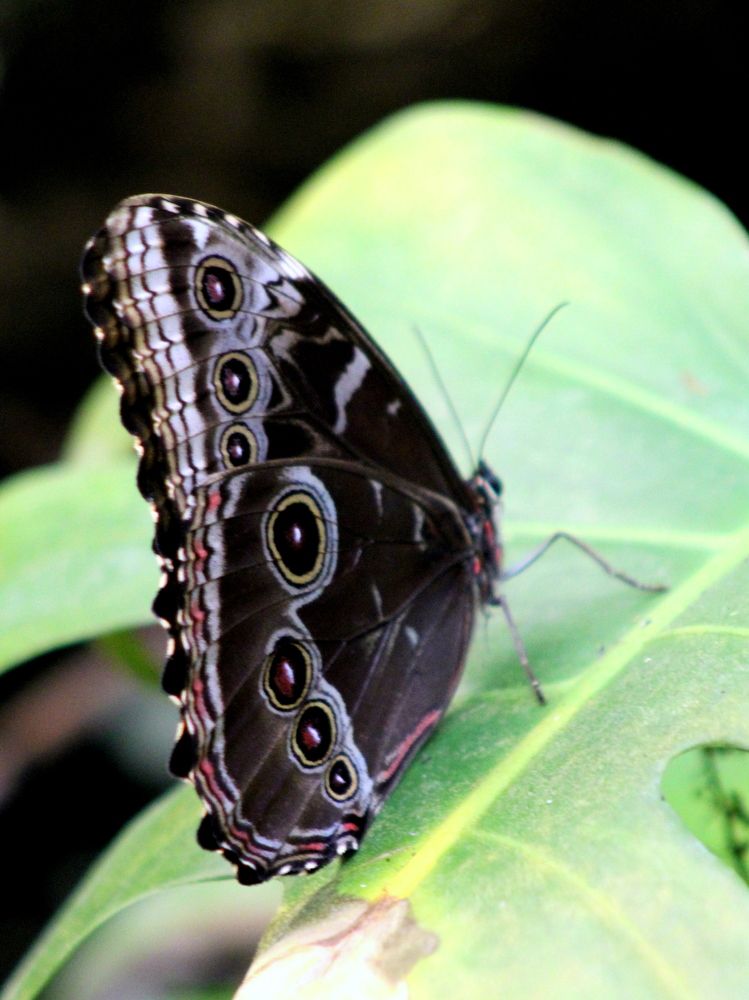Photograph by 