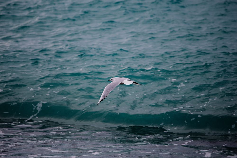 Photograph by Афанасьев Сергей