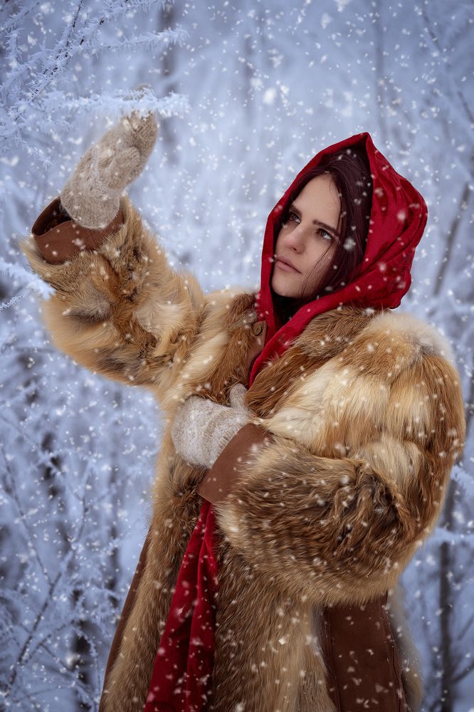 Photograph by Karpenko Denis