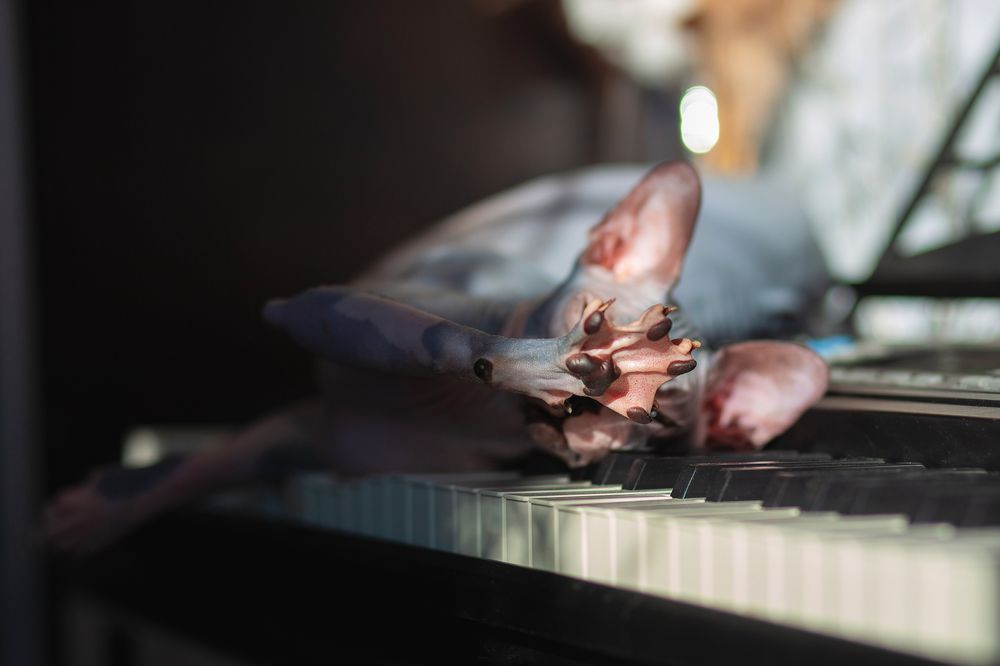 Photograph by Екатерина Кузнецова