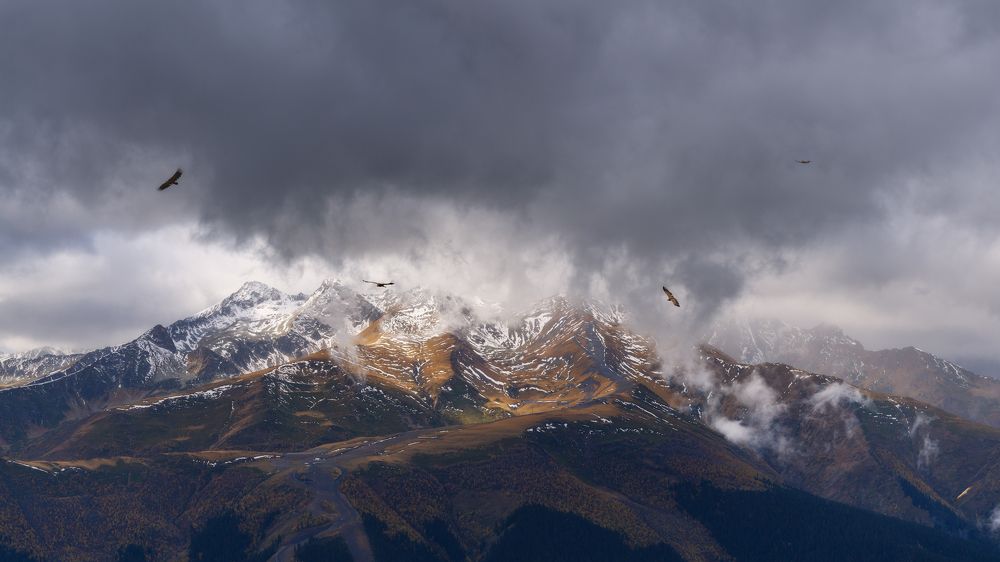 Photograph by Юлия Мальцева