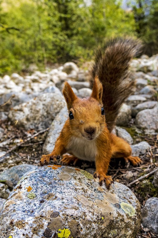 Photograph by Vladimir Tugalev