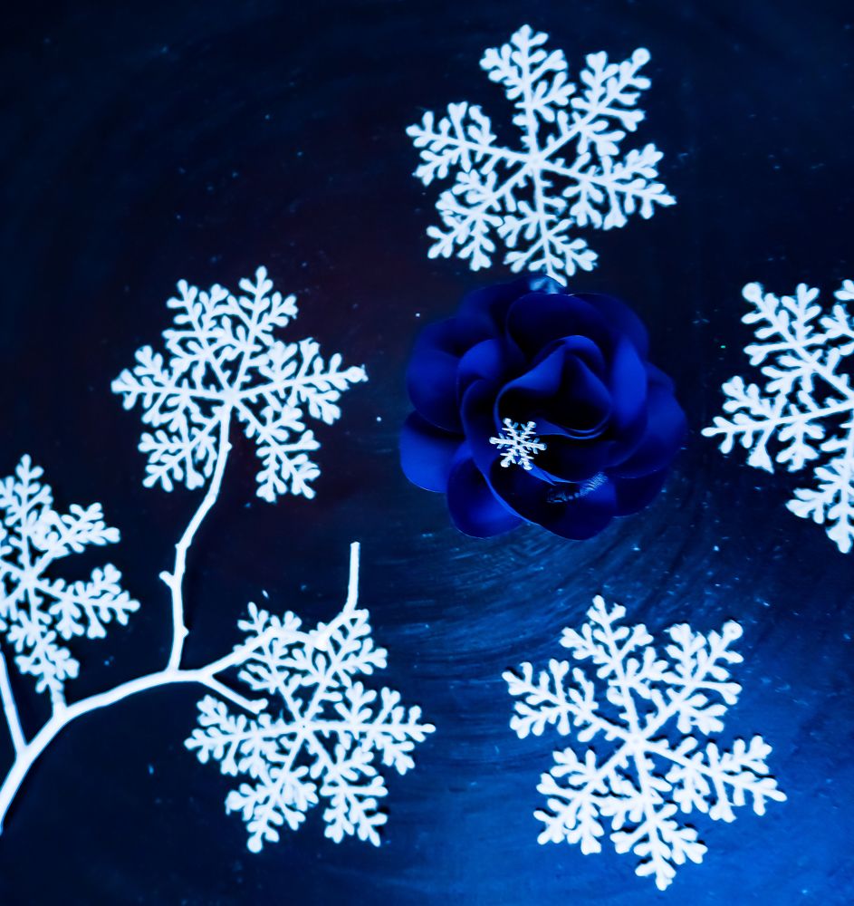 Фотография автора Olena Vorotyntseva