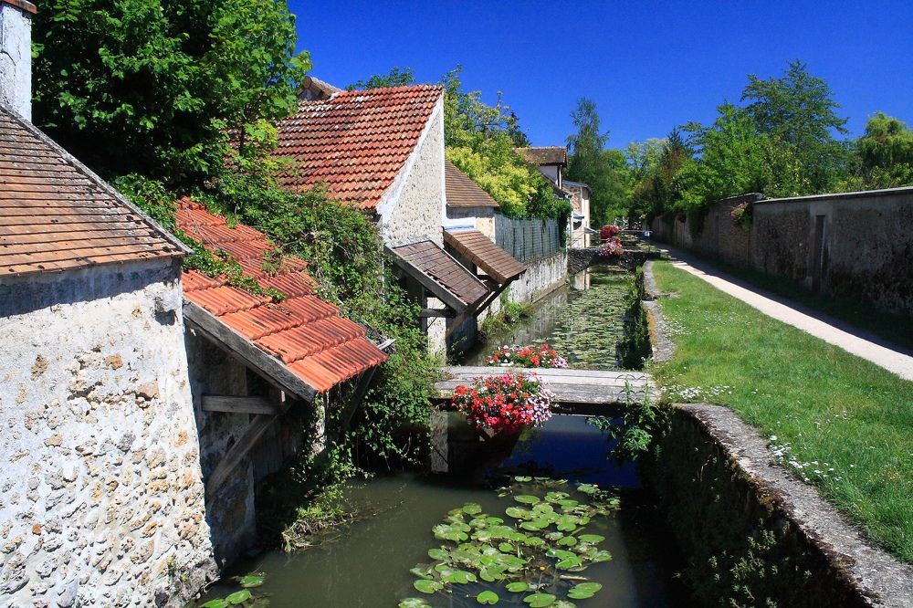 Photograph by Popa Alin