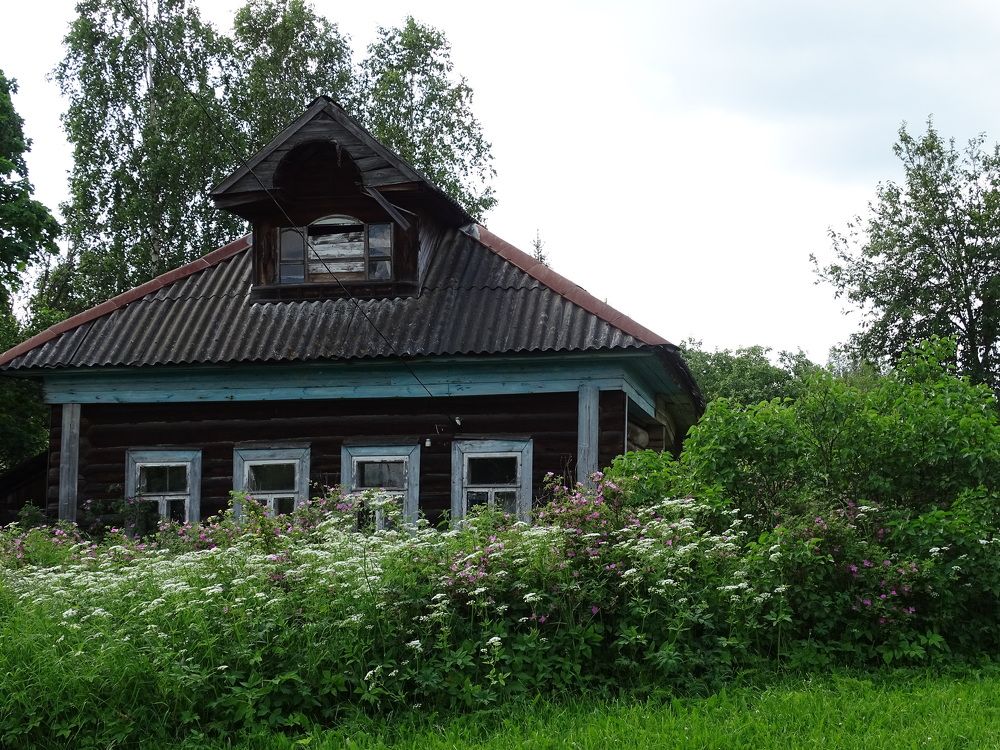 Photograph by Марина Мишина