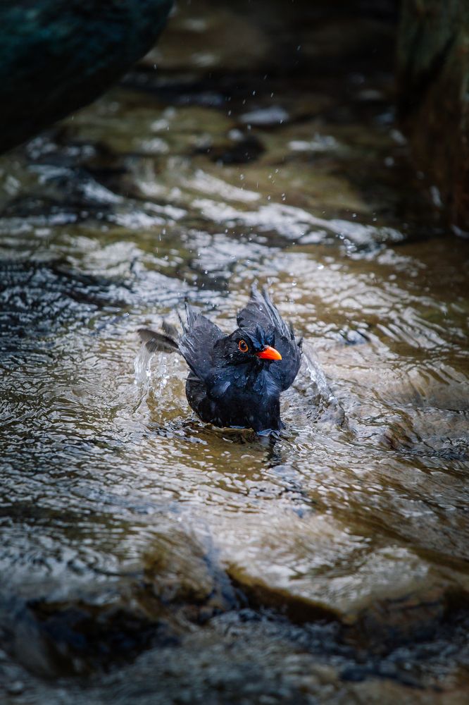 Photograph by Афанасьев Сергей