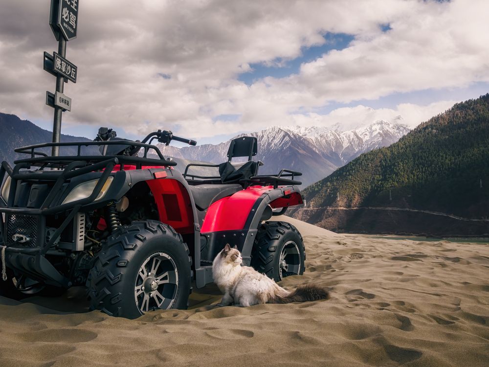 Photograph by Yuan Ji