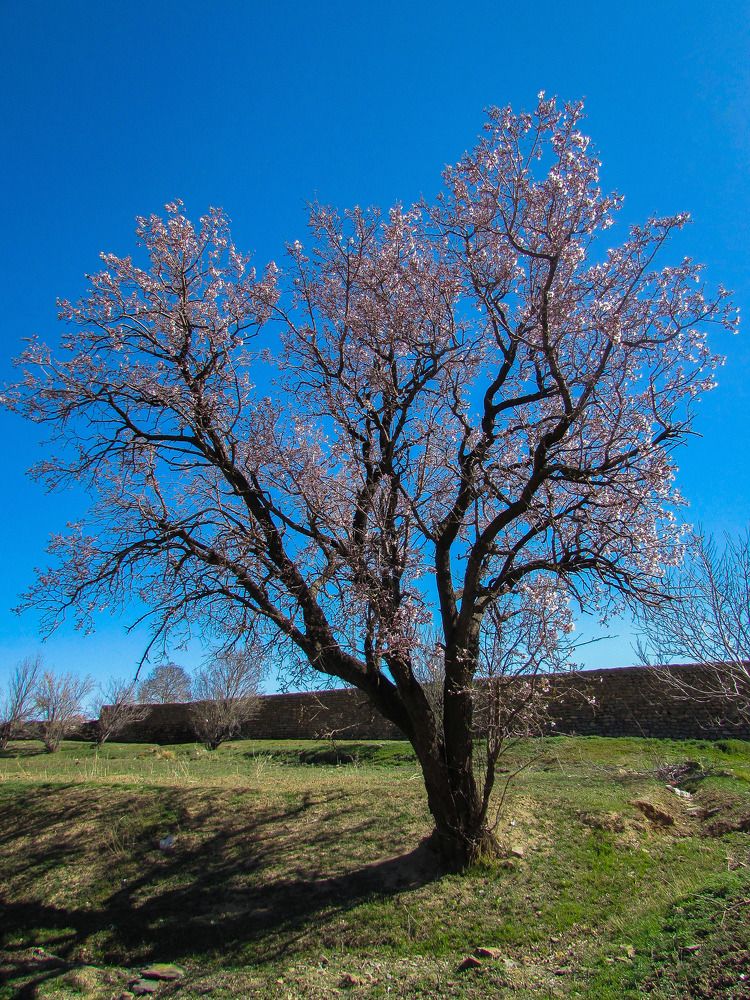 Photograph by Moein Gheysari