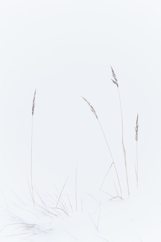 Photograph by Mysov Ivan