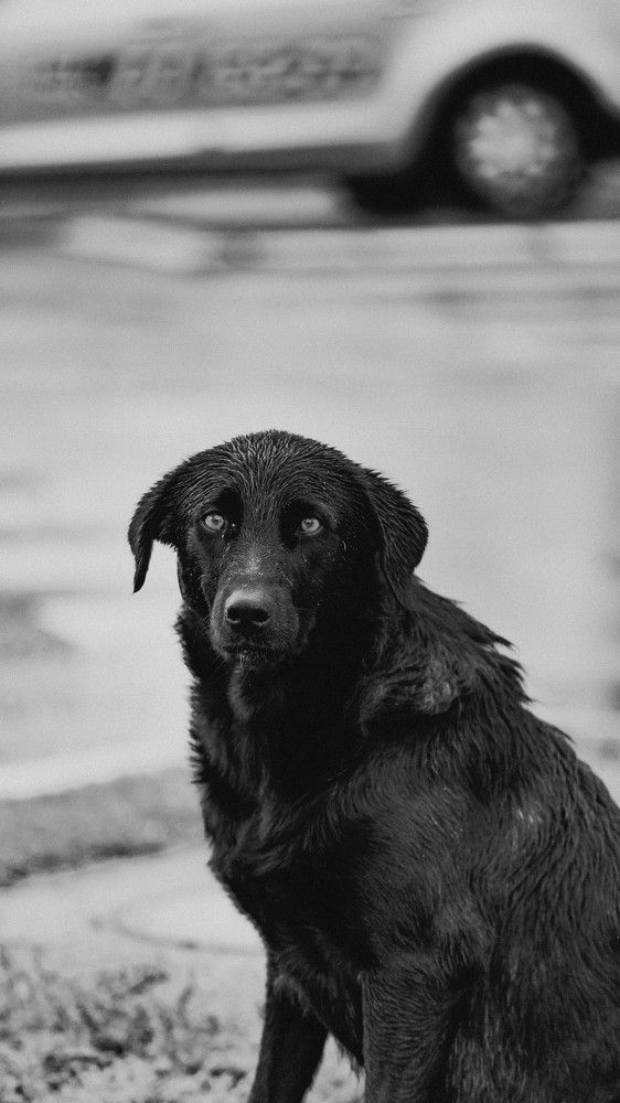 Photograph by Левичев Валетнин