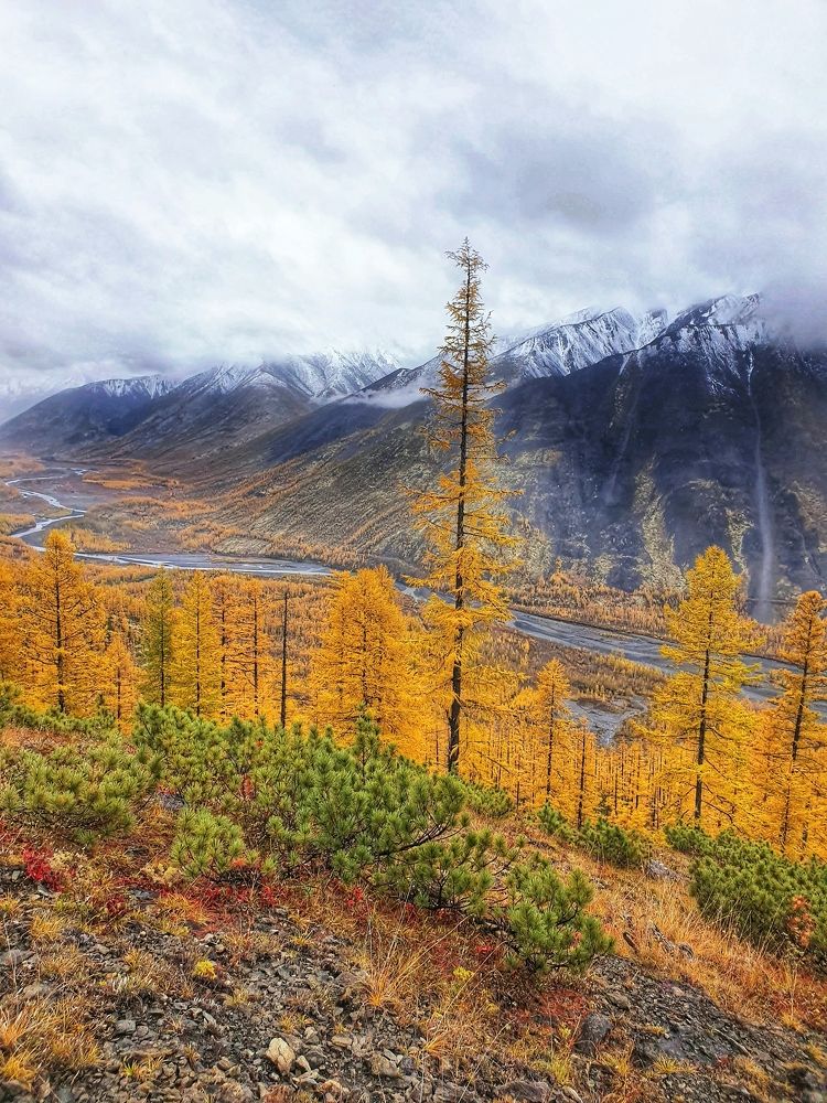 Золотая Хандыга