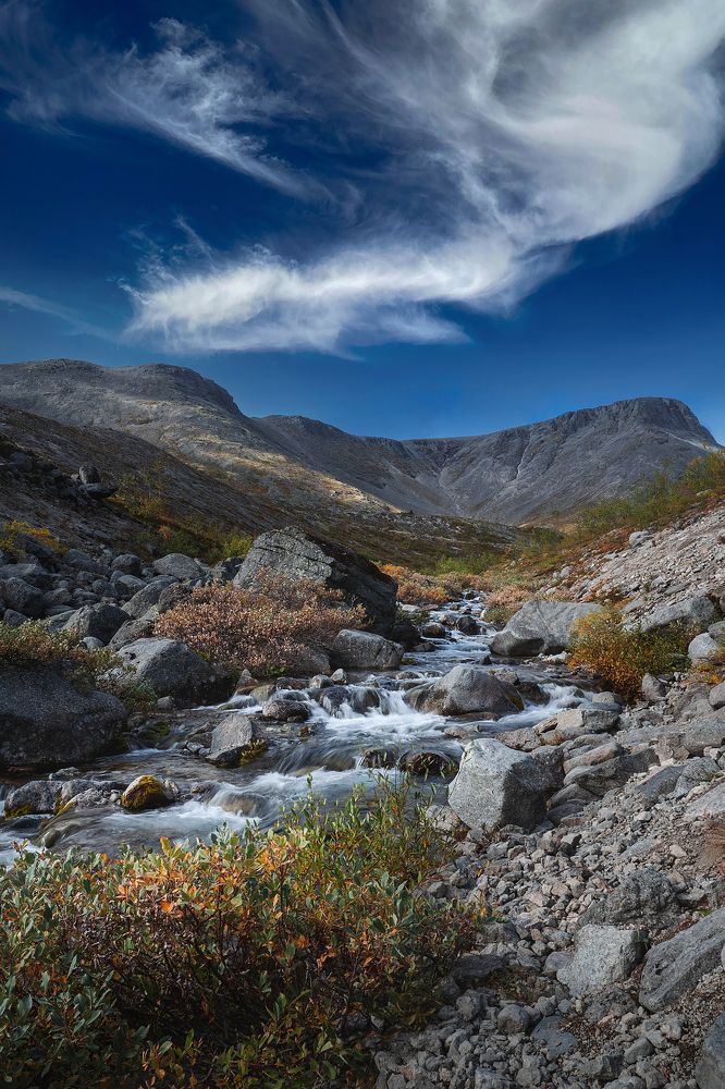 Свежесть гор