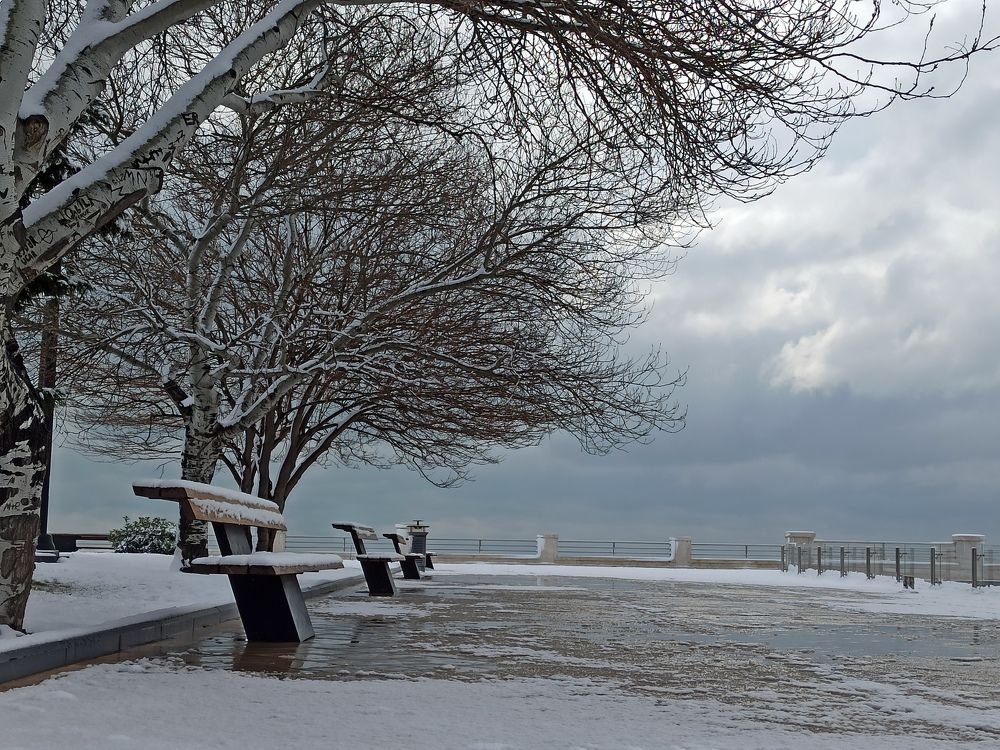 Photograph by Bilal Agalarov