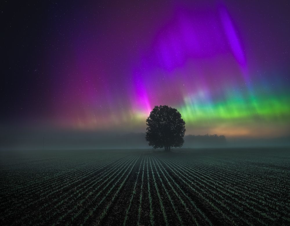 Photograph by Jānis Paļulis