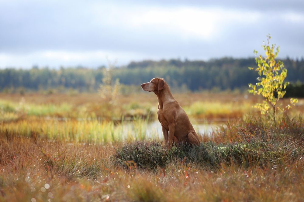 Photograph by Надежда Иванова