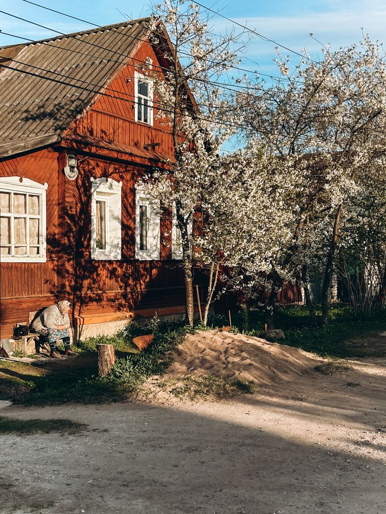 Photograph by Виталия