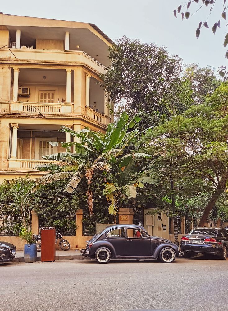 Photograph by Alaa Ezz El-Arab