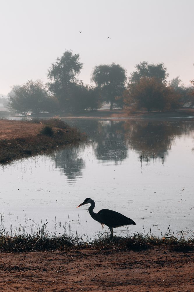 Photograph by Юлия Соболева