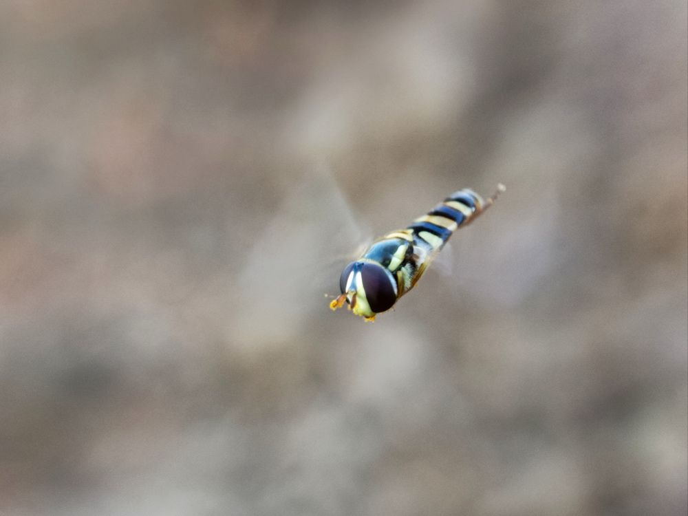 Photograph by Angelica Gutierrez