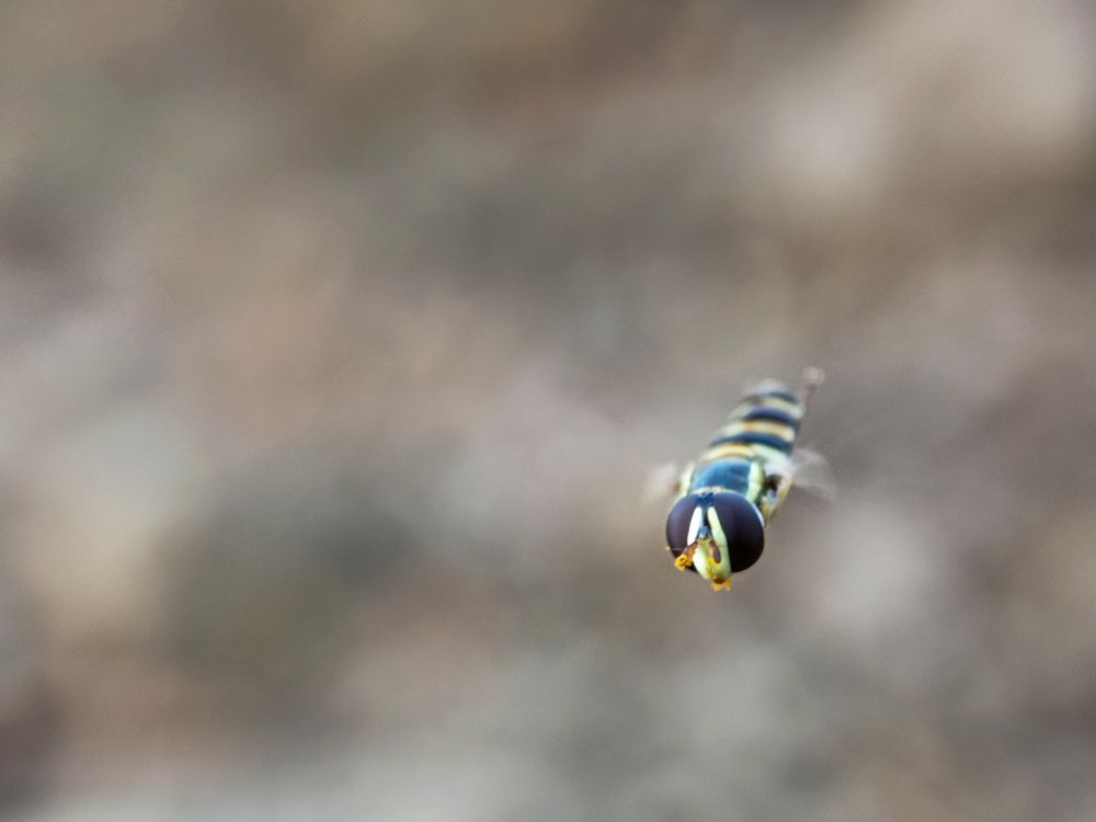 Photograph by Angelica Gutierrez