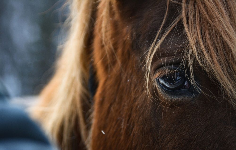 Photograph by Ирина Кучеренко