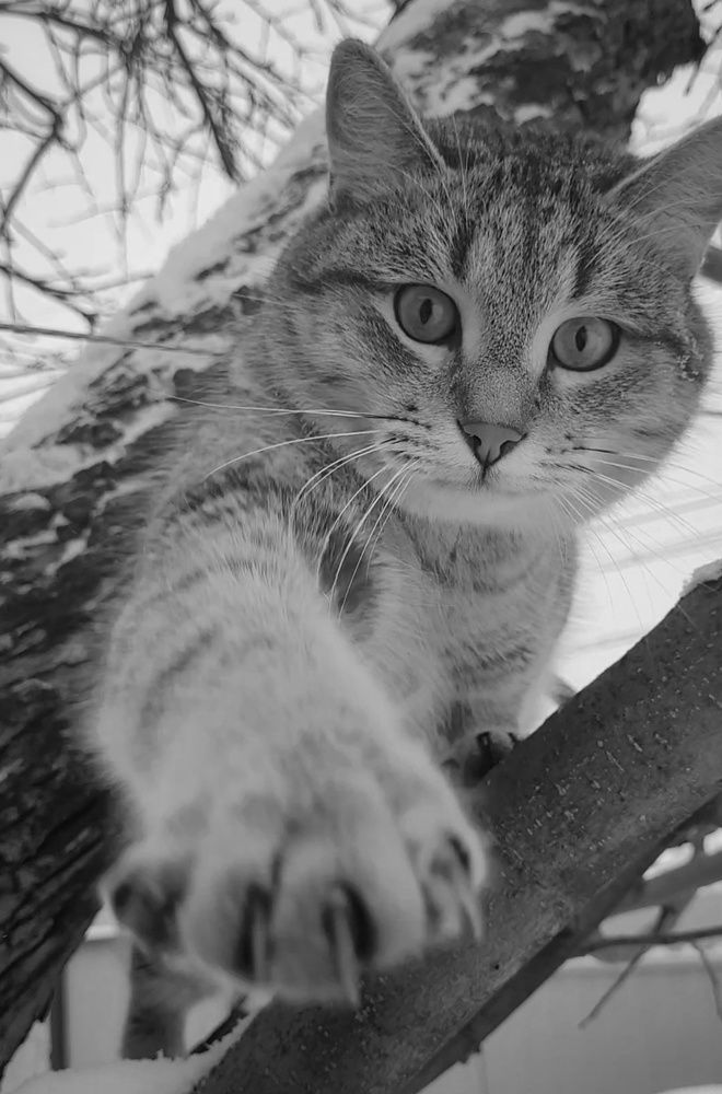 Photograph by Светлана Гаранина