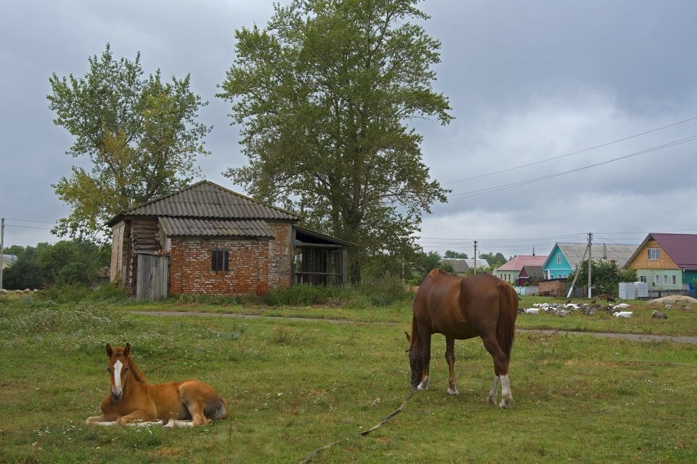 Photograph by Виктория Ганжова