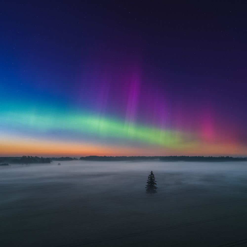 Photograph by Jānis Paļulis