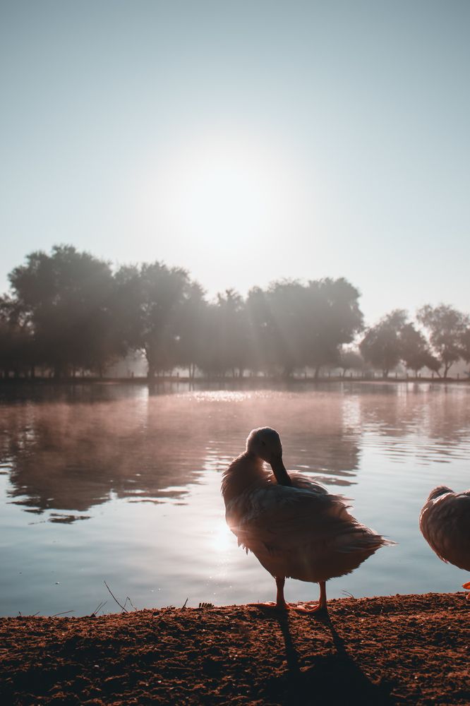 Photograph by Юлия Соболева