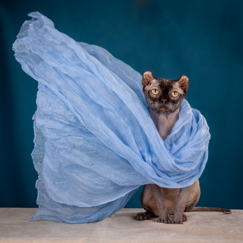 Photograph by Dina Damotseva