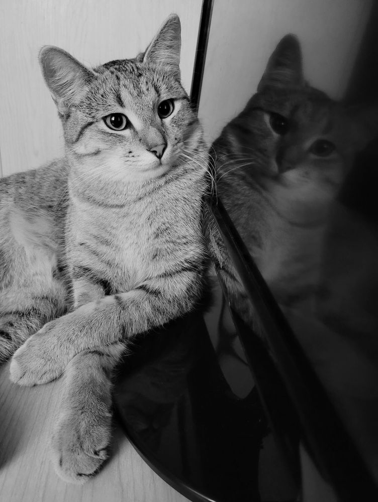 Photograph by Светлана Гаранина