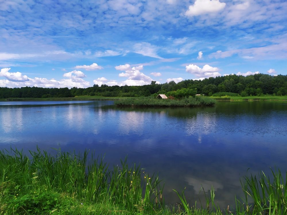 Photograph by Olga Kot