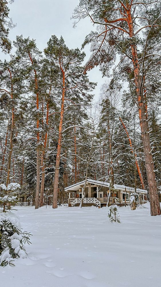 Photograph by Ирина Панкова